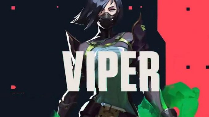 Viper-Snake-Bite