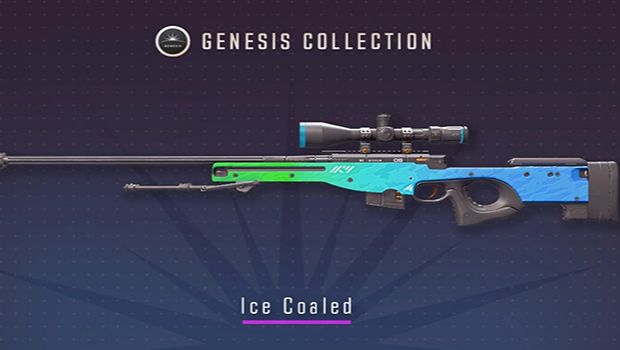 $1,500 CS2 skin